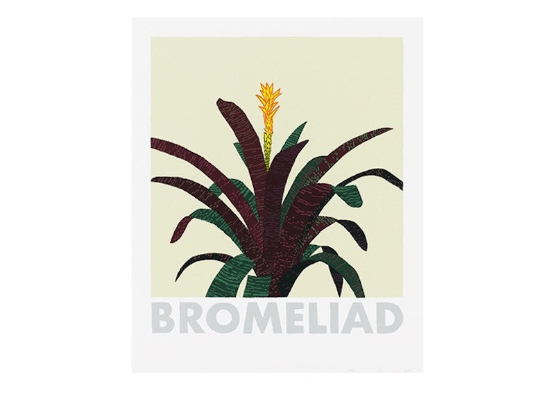 Jonas Wood Bromeliad Print (Signed, Edition of 200)