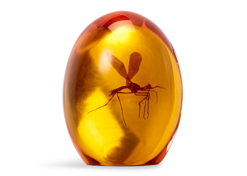 Jurassic Park Mosquito In Amber Resin Paper Weight