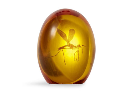 Jurassic Park Mosquito In Amber Resin Paper Weight