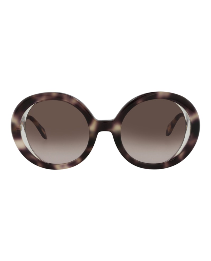 Just Cavalli Round-Frame Acetate Sunglasses Havana Havana Brown (SJC028-51-07UX)