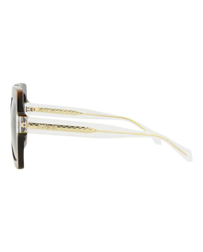 Just Cavalli Square-Frame Acetate Sunglasses Havana Crystal Brown (SJC023K-53-09AJ)