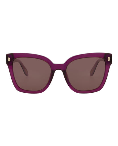 Just Cavalli Square-Frame Acetate Sunglasses Violet Havana Brown (SJC044-54-09FE)