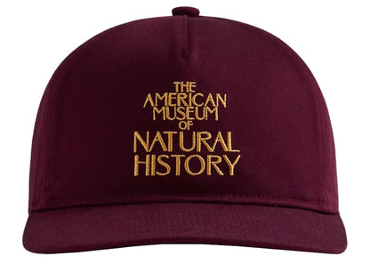 Kith AMNH Cap Magma