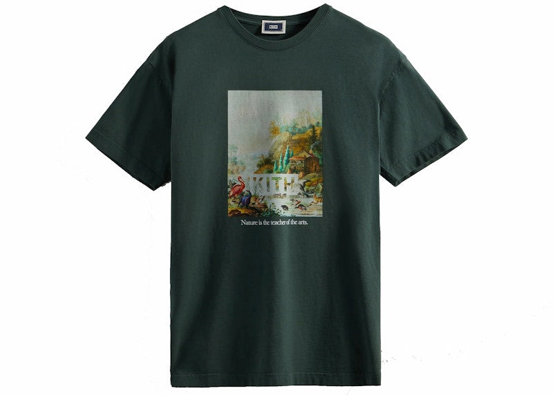 Kith Art Of Nature Vintage Tee Stadium