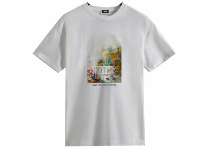 Kith Art Of Nature Vintage Tee White