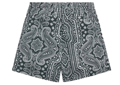 Kith Bandana Paisley Swim Short Stadium