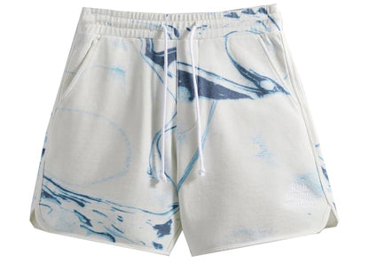 Kith Design Studios Jordan Short Current