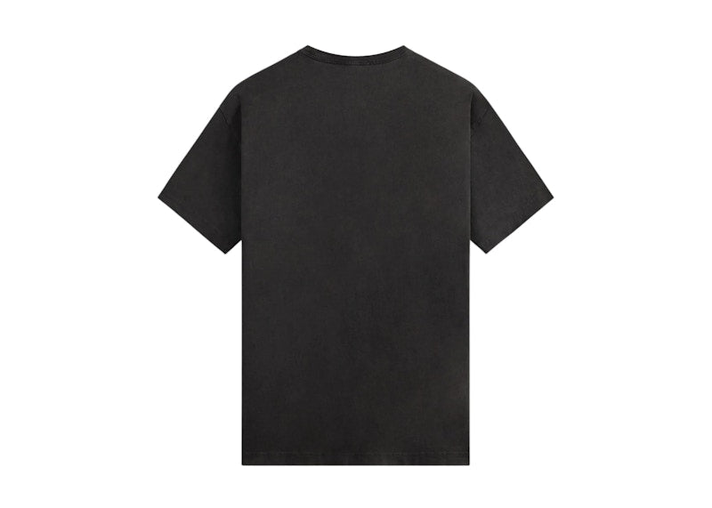 Kith Gardens Of The Mind Vintage Tee Black