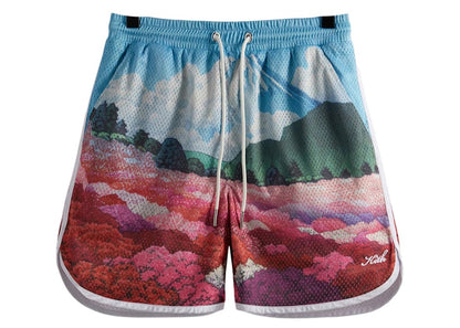 Kith Printed Jordan Mesh Short Bloom
