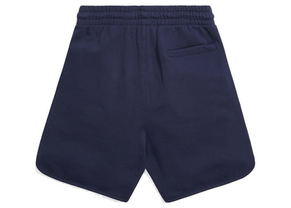 Kith for Team USA Jordan Short Nocturnal