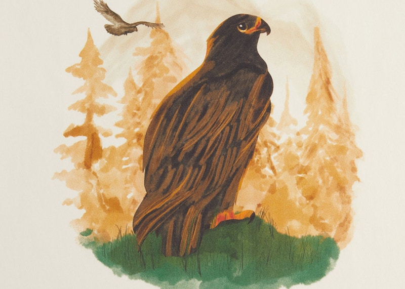 Kith x Columbia Eagle Illustration Vintage Tee History