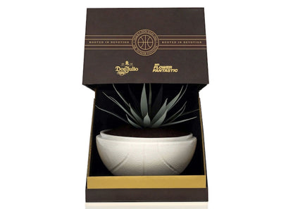 Mr. Flower Fantastic x Don Julio 1942 Rooted In Devotion (NTWRK Exclusive) Planter