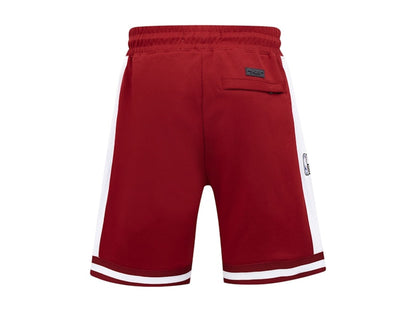 NBA Virginia Union University Pro Standard 2024 All-Star Game X HBCU Classic Chenille Shorts Red