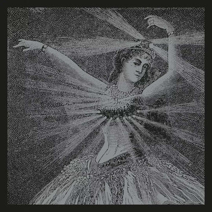 Neutral Milk Hotel The Collected Works of Neutral Milk Hotel 9XLP Vinyl Set Black