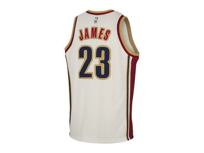 Nike LeBron James Dri-FIT NBA Jersey Multicolor