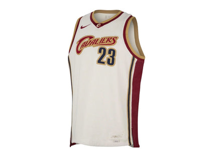 Nike LeBron James Dri-FIT NBA Jersey Multicolor