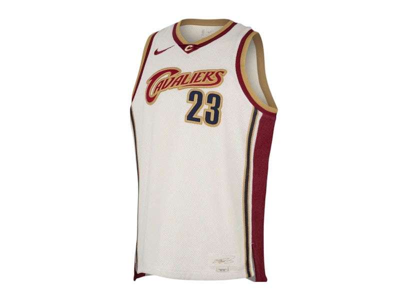 Nike LeBron James Dri-FIT NBA Jersey Multicolor