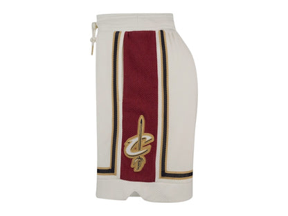 Nike LeBron James Dri-FIT NBA Shorts Multicolor