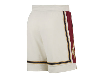 Nike LeBron James Dri-FIT NBA Shorts Multicolor