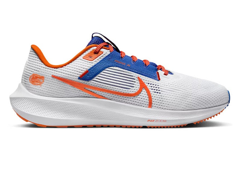 Nike Pegasus 40 Florida