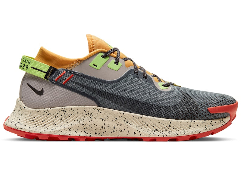 Nike Pegasus Trail 2 Gore-Tex Smoke Grey Bucktan