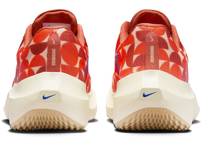 Nike Zoom Fly 5 Premium Blue Ribbon Sports