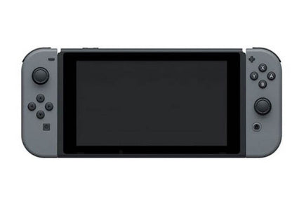 Nintendo Switch Console HADSKAAAA Grey