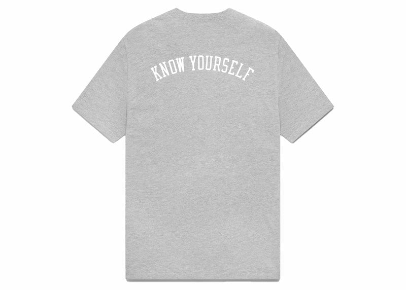 OVO 1995 Raptors OG Owl T-shirt Heather Grey