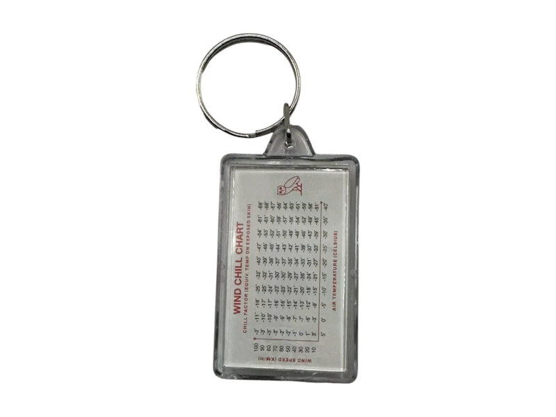 OVO Thermometer Compass Keychain Clear