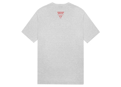 OVO x NBA Bulls T-shirt Heather Grey