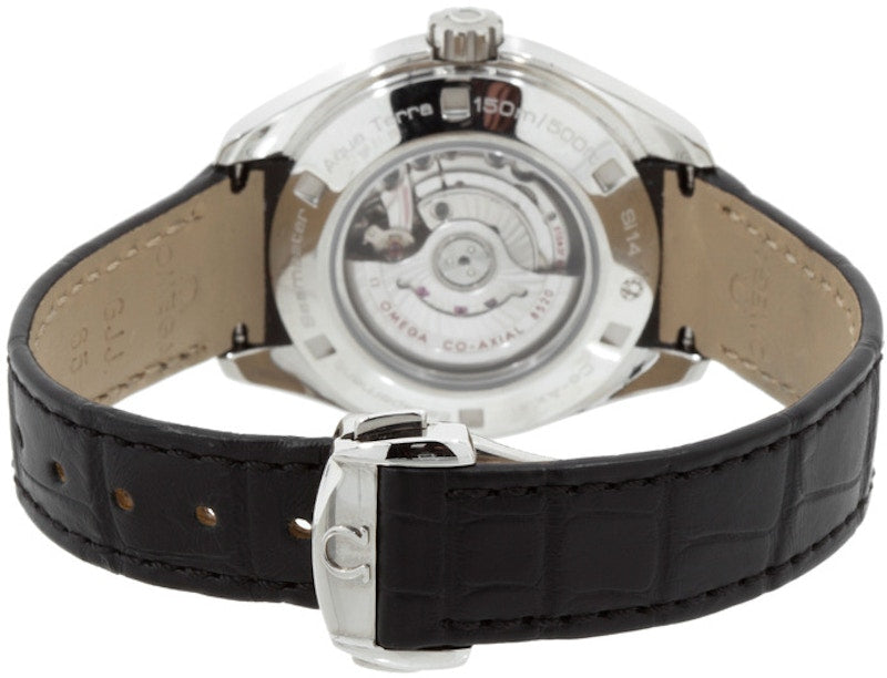 Omega Seamaster Aqua Terra 231.13.34.20.01.001