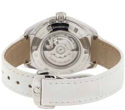 Omega Seamaster Aqua Terra 231.13.34.20.04.001