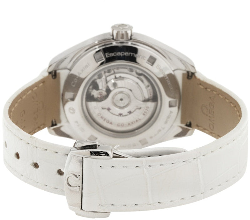 Omega Seamaster Aqua Terra 231.13.34.20.04.001