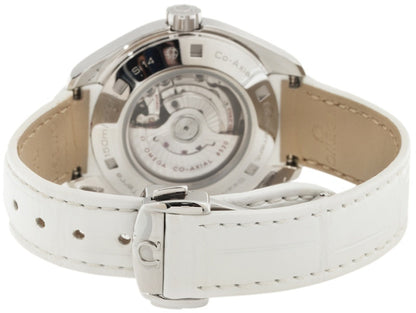 Omega Seamaster Aqua Terra 231.13.34.20.55.001