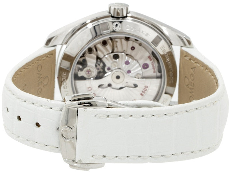 Omega Seamaster Aqua Terra 231.13.39.21.55.001