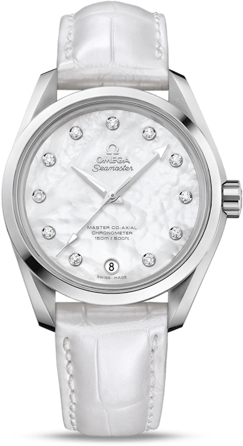 Omega Seamaster Aqua Terra 231.13.39.21.55.002