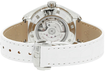 Omega Seamaster Aqua Terra 231.18.34.20.55.001