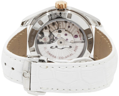 Omega Seamaster Aqua Terra 231.23.39.21.52.001