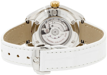 Omega Seamaster Aqua Terra 231.28.34.20.55.001