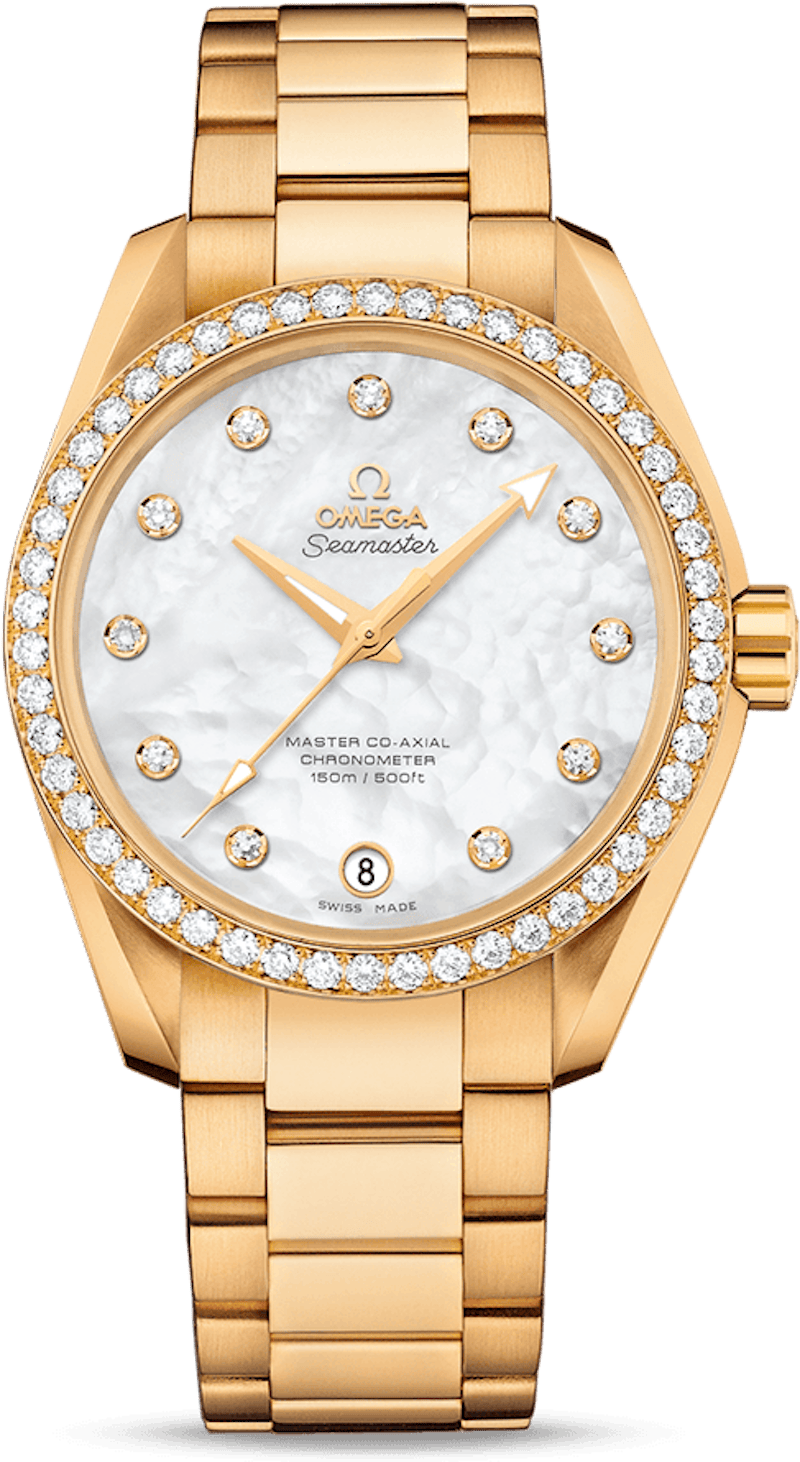 Omega Seamaster Aqua Terra 231.55.39.21.55.002