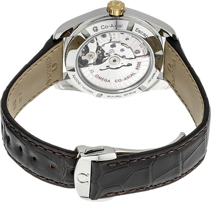 Omega Seamaster Aqua Terra Co-Axial 231.23.39.21.06.002