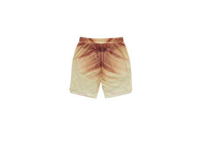 Palace Airtex Roundhouse To The Face Shorts Bronze