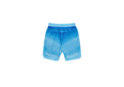 Palace Airtex Roundhouse To The Face Shorts Sky