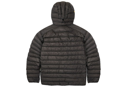 Palace Arc'teryx Hoodie Grey