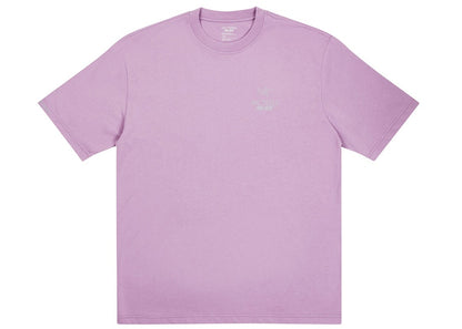 Palace Arc'teryx T-shirt Haze