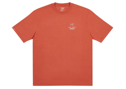 Palace Arc'teryx T-shirt Ochre