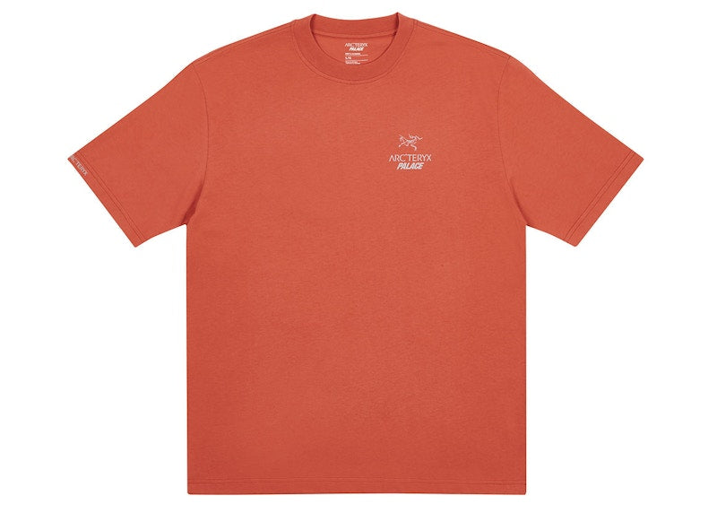 Palace Arc'teryx T-shirt Ochre