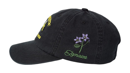 Palace Athletic 6-Panel Black