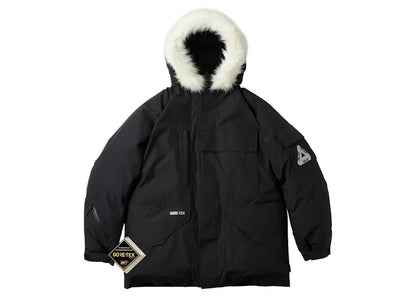 Palace Gore-Tex Down Parka Black