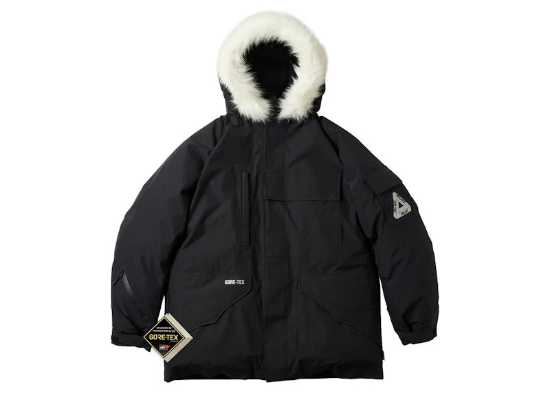 Palace Gore-Tex Down Parka Black